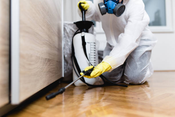 Best Flea Control Services  in Ridgetop, TN