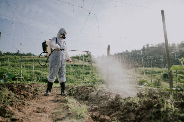 Best Pest Removal Services  in Ridgetop, TN