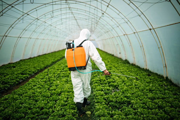 Best Pest Inspection Near Me  in Ridgetop, TN
