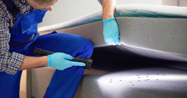 Best Pest Control Treatment  in Ridgetop, TN