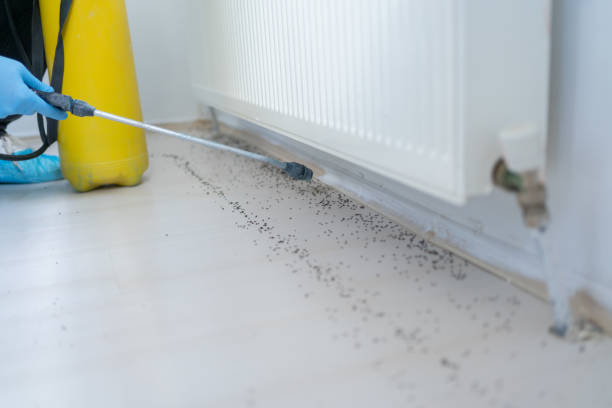 Best Pest Control for Homes  in Ridgetop, TN