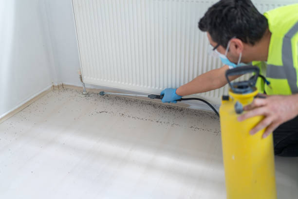 Best Local Pest Control Services  in Ridgetop, TN