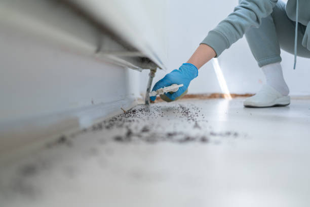Best Ant Control Services  in Ridgetop, TN