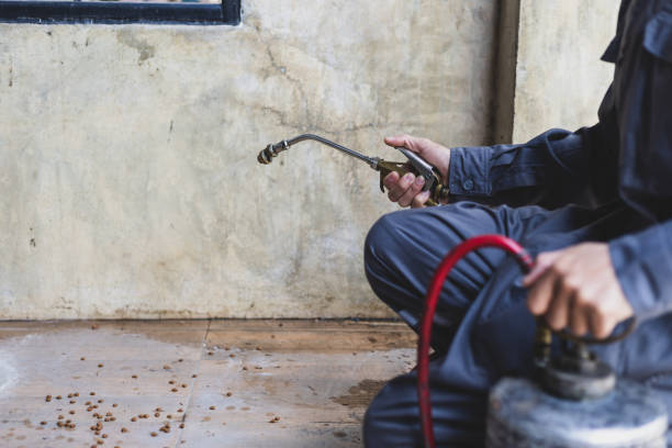 Pest Control for Restaurants in Ridgetop, TN